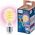 Signify WiZ White & Color 40W E27 A60 Standardform Tunable Einzelpack