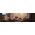 Signify Philips Classic LED-A-Label Lampe 60W E27 klar neutralws Globe