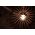 Segula Segula 55337 lampa LED 6,5 W E27 F