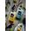 Weldtite Koncentrat do mycia roweru WELDTITE BIKE CLEANER CONCENTRATE MIXED PACK LIME & LEMON 1L