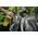 Weldtite Płyn do mycia roweru WELDTITE BIKE CLEANER LIME SPRAY 1L (NEW)