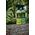 Weldtite Płyn do mycia roweru WELDTITE BIKE CLEANER LIME SPRAY 1L (NEW)