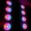 LIGHT4ME LIGHT4ME HYPNO PAR reflektor sceniczny efekt LED