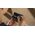 Mikrofon DJI ACC MIC 2 1TX+1RX CE/CP.RN.00000326.02 DJI