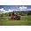 Traktor ogrodowy AL-KO Traktor ogrodowy T18-111.4 HDS-A V2 COMFORT Solo by AL-KO 127724