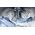 Pralko-suszarka Indesit INDESIT | Washing machine with Dryer | BDE 76435 WSV EE | Energy efficiency class B/D | Front loading | Washing capacity 7 kg | 1351 RPM | Depth 54 cm | Width 60 cm | LCD | Drying system | Drying capacity 6 kg | Steam function | Wh