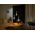 Signify Philips Hue White & Col. Amb. Lightguide Giant Globe G125 E27