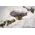 Vallejo Vallejo: 26.820 - Diorama FX - Ground Textures - Snow (200 ml)
