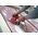 Szlifierka Sourcing MULTIPURPOSE SANDER 7280 DA 250W