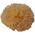 Babu Bab?(r) sponge natural nr.12