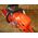 Piła łańcuchowa Husqvarna Chainsaw HUSQVARNA 545 Mark II