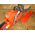 Piła łańcuchowa Husqvarna Chainsaw HUSQVARNA 545 Mark II
