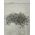 Sourcing Fischer screwdriver FPF-ST P 4.0x50 A2, 200 pcs.