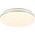 Lampa sufitowa Sourcing TIGER LED PLAFOND RGB R67131100 WH