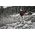 Milwaukee Attachment to the lawnmower extension M18 FOPH-EXA