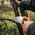 Fiskars Garden saw SW37 (D-shaped handle)