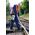 Sourcing Pressure sprayer GLORIA 405T Profiline