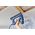 Rapid R:El.Brad Nailer EN330 220-240V C