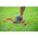 Pure2Improve Płotek koordynacyjny elastyczny P2I FLEXIBLE HURDLES 21 CM (4 szt.)