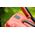 Kosiarka akumulatorowa Yato YT.MOWER 2x18V 37cm WITHOUT BATTERY. AND ORDER.
