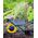 Geko Uszczelka oleju/ zimering do glebogryzarki spalinowej 7HP 85cm (1)