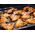 Piekarnik Electrolux Oven Electrolux KVLAE00WT