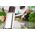 G21 Knife set in stainless steel stand G21 Gourmet Steely 60022164, 5 pcs