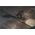 Sourcing HEADLAMP 150/35LM 3XAAA IPX4