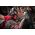Piła łańcuchowa Milwaukee MILWAUKEE.CHAINSAW M18FTHCHS30-802 30cm