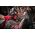 Piła łańcuchowa Milwaukee MILWAUKEE.CHAINSAW M18FTHCHS35-802