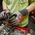 Milwaukee MILWAUKEE GLOVES LEVEL D - SIZE XL/10 HIGH LEVEL OF HANDLING