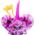 Sourcing FURBY Interactive Plush Furblets