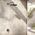 Bateria prysznicowa Sourcing Concealed shower system Omnires SYSY36GR, graphite