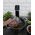 Odkurzacz G21 Vacuum cleaner G21 600940 Jade