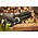 Ryobi Chainsaw Ryobi ONE+ RY18PSX10A-0