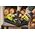 Ryobi Chainsaw Ryobi ONE+ RY18PSX10A-0