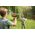 BS Toys BS TOYS Activity game Catch Game