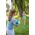 BS Toys BS TOYS Activity game Lacrosse Kit