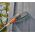Gardena Cleansystem soft handle brush Gardena 18810-20