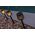 New Garden New Garden Gretita Solar Lamp Garden Spike   4 units   black