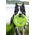 Triton Kiwi Walker Let's Play Frisbee Maxi niebieskie