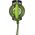 Triton Kiwi Walker Let's Play Zeppelin Mini aport zielony