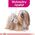 Royal Canin Exigent 85g
