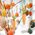 Allnet ALLNET BrickRknowledge Measurement Set Two (International)