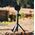 Statyw Fidlock Fidlock Vacuum Mini Tripod Base Smartphone Stativ