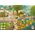 Dodo Puzzle "Wimmelpuzzle - Lato na wsi" Układanka 60 Elementów Karty Zadań