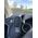 Swissten Gravity car holder s-grip G1-R1