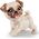 Sparkle Girlz SPARKLE GIRLZ doll dog walker, 10065