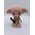 Harry Potter HARRY POTTER Interactive toy Dobby