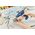 Rapid Accum. glue gun Rapid B